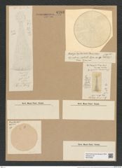 Coscinodiscus centralis Ehr. (de-Toni-Nr.: Genus 202, Species 5045) Zeichnungen Sammlung Grunow Nr. 8793 (NHMW-BOT-W0378396)